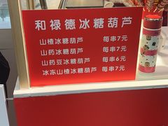 -和禄德冰糖葫芦