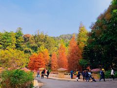 -云溪植物园