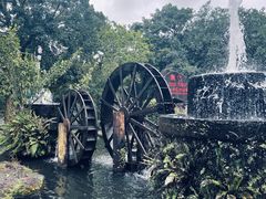 -海口火山口国家地质公园