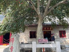 -崂山仰口游览区