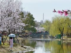 -堤角公园