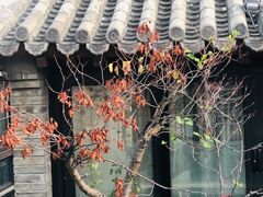 -糖房咖啡(南锣鼓巷店)