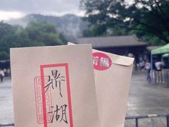 -鼎湖山风景区
