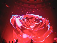 -欧米亚派对酒吧(绵阳店)