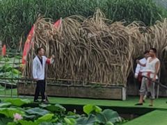 -洪湖生态旅游区