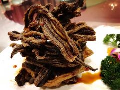 -新聚丰菜馆(太监弄店)