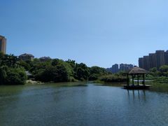 -金山公园