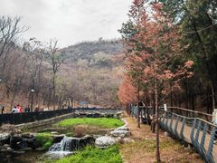 -白水寺森林公园