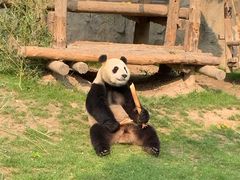 -上海野生动物园