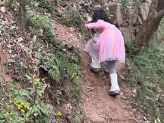 -上海佘山国家森林公园天马山园