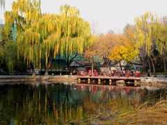 -玲珑塔公园