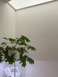 -Dr.U博士医疗美容医院