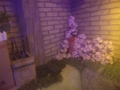 -串越时光·烧烤·烤鱼·小龙虾(松江大学城店)