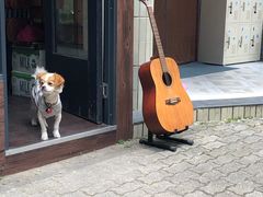 -微饮cafe