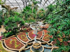 -南山植物园