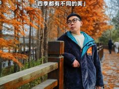 -溱湖国家湿地公园