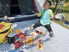 -前小桔亲子创意农场·草莓采摘·露营烧烤