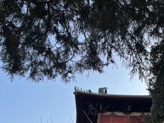 -隆兴寺