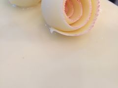 -BLACKSWAN黑天鹅(环球店)
