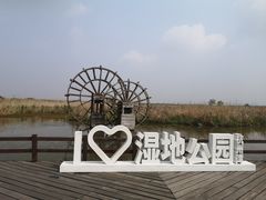 -宁波杭州湾国家湿地公园