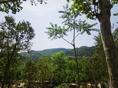 -黄河小浪底水利枢纽风景区