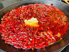 红汤锅底-肥龙火锅(南坪店)