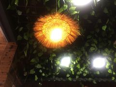 -三里屯土灶炖公鸡地锅鸡(江东店)