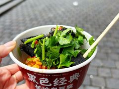 -黑色经典臭豆腐·湖南特产(坡子街店)