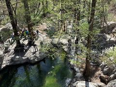 -国家植物园南园