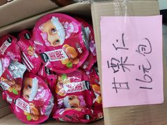 -顺德职业技术大学