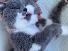 -美迦爱-牙专科·兔科·骨科诊疗中心(北苑店)
