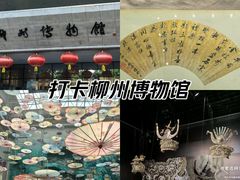 -柳州博物馆