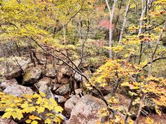 -丹东天桥沟景区