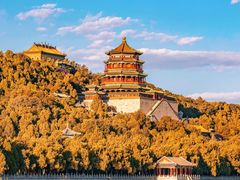 -北京国子监胡同