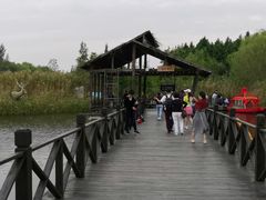 -溱湖国家湿地公园