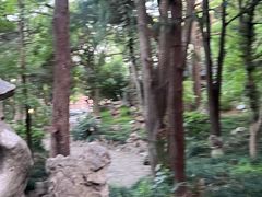 -叶家花园