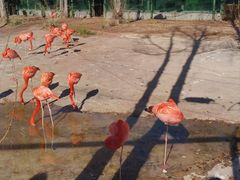 -鄂尔多斯野生动物园