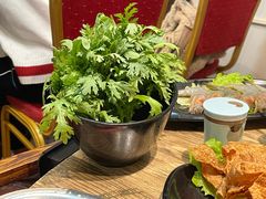 茼蒿-销魂美蛙鱼头火锅(上海首店)