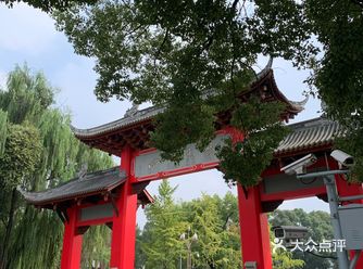 成都旅游|川大晒太阳攻略