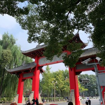 成都旅游|川大晒太阳攻略