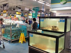 -麦德龙(浦东店)
