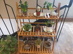 -兄弟宁乡龙城(麓景路店)