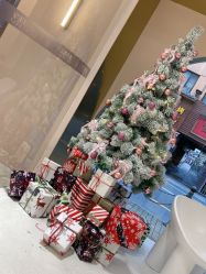 -本小姐美学·半永久纹眉野生眉