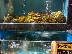 -聚鑫阁江浙菜·非遗传承技艺(青村帝华园店)