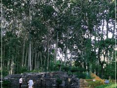 -仁和公园(顺义区)