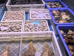 -金成潮菜博物馆(海珠湿地店)