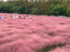 -嘉北郊野公园