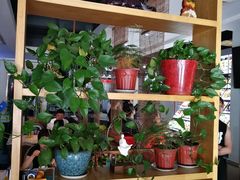 -魏铭鱼头捞饭(晋阳路店)