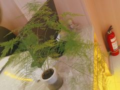 -泰禾馨·泰式按摩精油SPA(华荣大厦店)