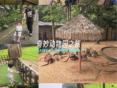 -深圳野生动物园